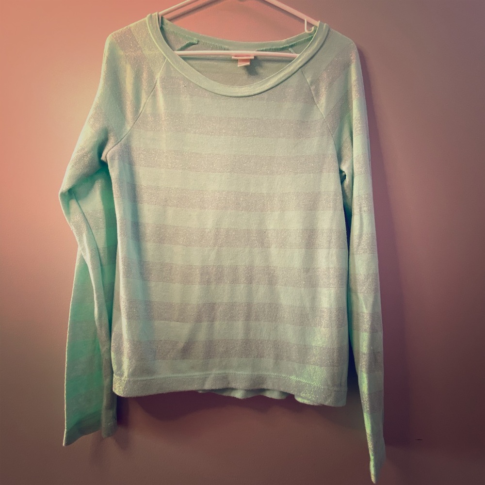 Teal and silver sweater